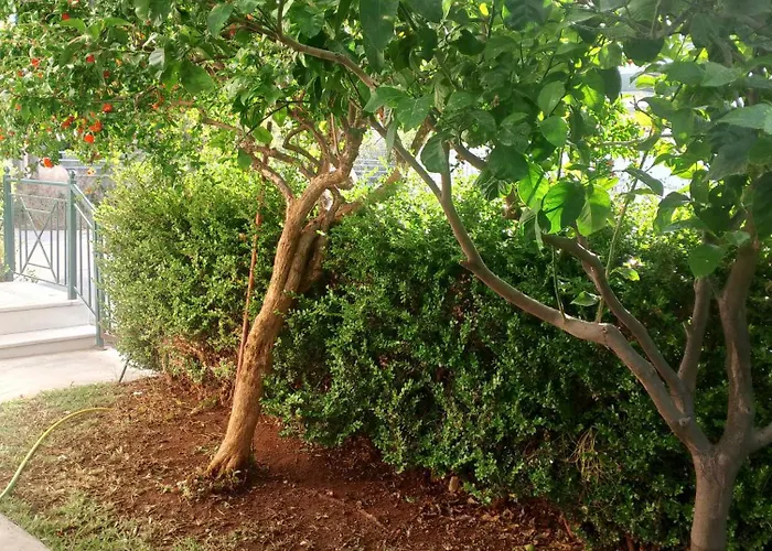 μarina Fully Renovated By The Sea *